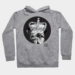 French bulldog Queen Fornasetti Hoodie